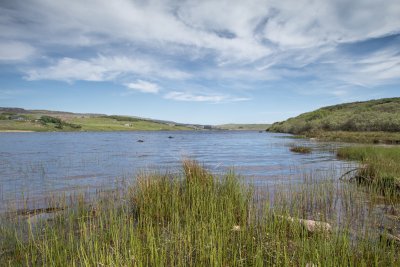 Shore of Loch Assapol