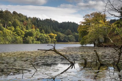 Aros Park is close by with lots of footpaths to explore