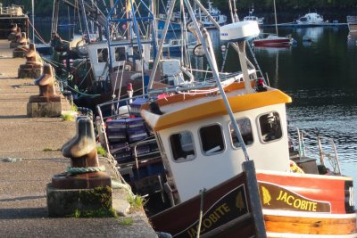 Fishing boats in the harbour