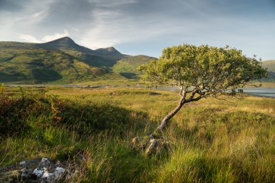 The towering peak of Ben More seen from the Ross of Mull