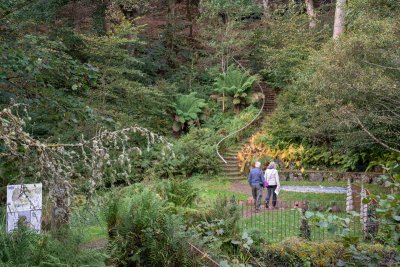 Deciduous woodland with winding paths