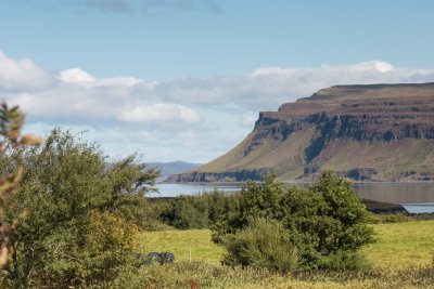 Ardtun peninsula in bloom