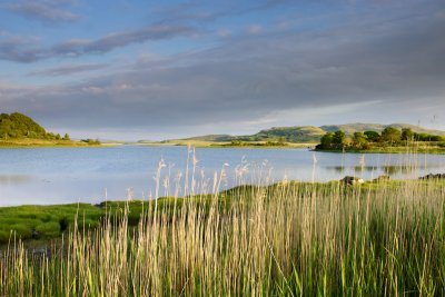 Shore of Loch don in summer