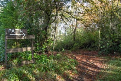 Head straight from the cottage door out into the woods!