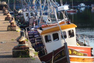 Fishing boats by the pier in Tobermory