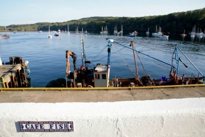Cafe Fish | Tobermory