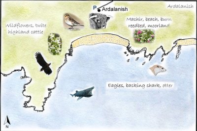 Ardalanish Detailed Map