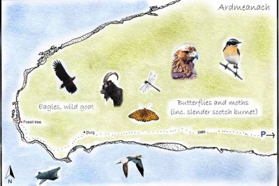 Ardmeanach Detailed Map