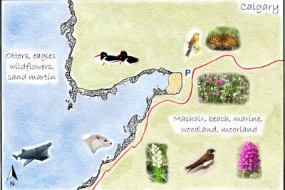 Calgary Bay Detailed Map