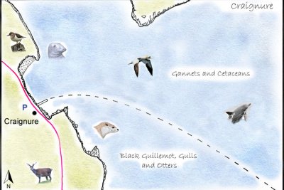 Craignure Detailed Map