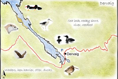 Dervaig Detailed Map