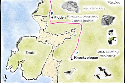 Fidden Detailed Map