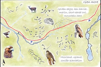 Glen More Detailed Map