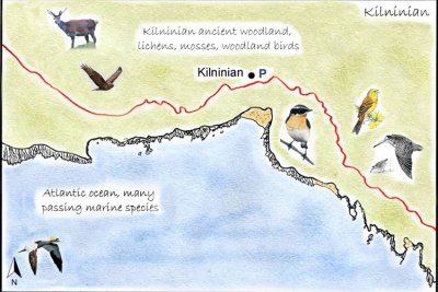 Kilninian Detailed Map
