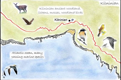 Kilninian Detailed Map