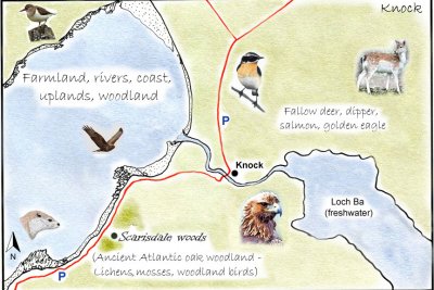 Knock Detailed Map