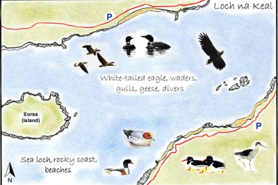 Loch na Keal Detailed Map