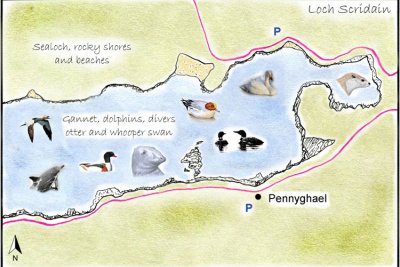 Loch Scridain Detailed Map