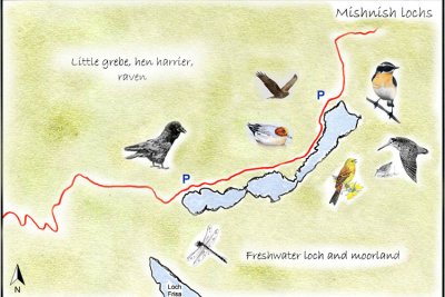 Mishnish Lochs Detailed Map