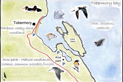 Tobermory Bay Detailed Map