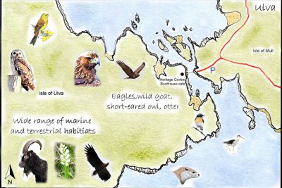 Ulva Detailed Map