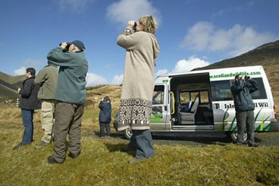 Guided Wildlife Tours