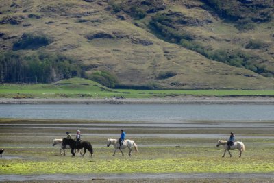 Pony Trekking