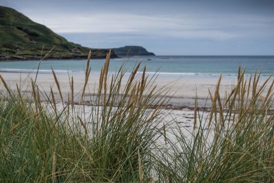 Walking along Calgary bay dunes