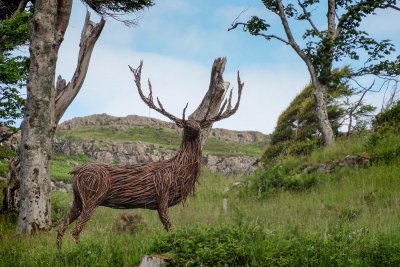 Deer sculpture in Calgary woods