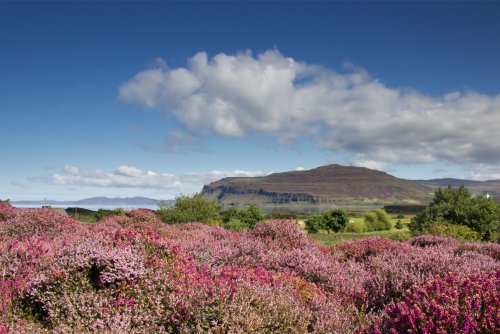 Surrounding countryside