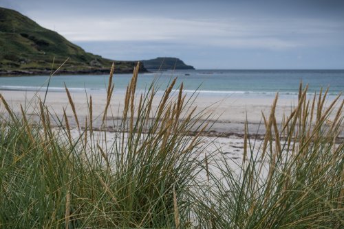 Calgary beach