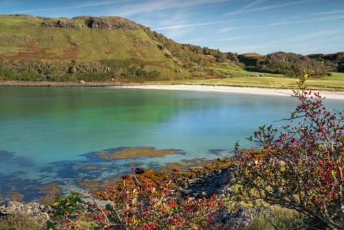 The beautiful white sand and turquoise water is in walking distance