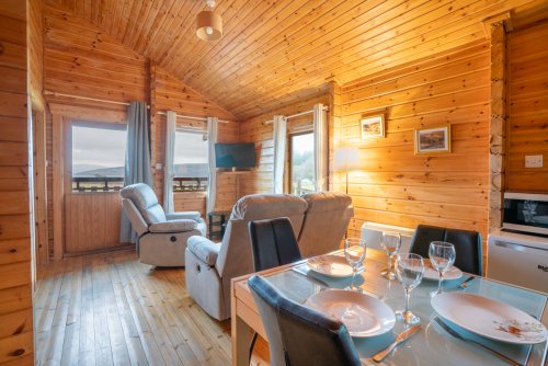 Dining and living area