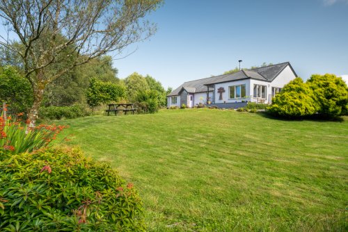 Sweeping lawns will keep the four-legged guests happy with plenty of room to play