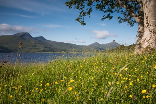 Loch Scridain with Ben More on the horizon