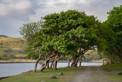 Follow this track to discover a beautiful beach