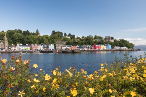 Looking across the water from the coastal path to Tobermory