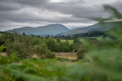 Woodland, glen and riverside walks all beckon from the front door