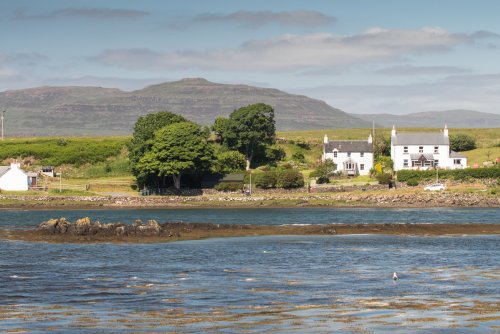 Heron View by the coast on the island of Mull