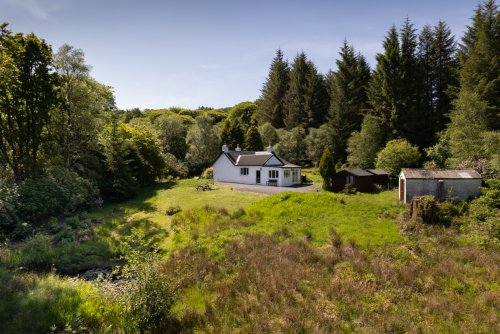 Wood Cottage's woodland setting surrounded by a large private garden