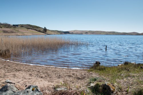 Shore of Loch Assapol