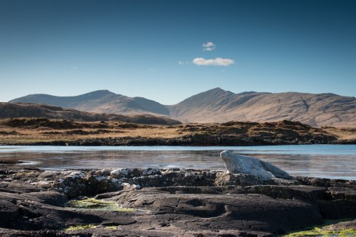 Marvel at Mull's mountainous interior and visit the nearby lochs