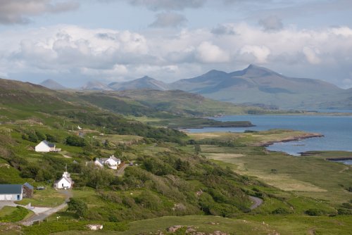 Caber Feidh on the hillside at Fanmore