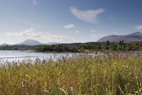 Loch Don in the summer