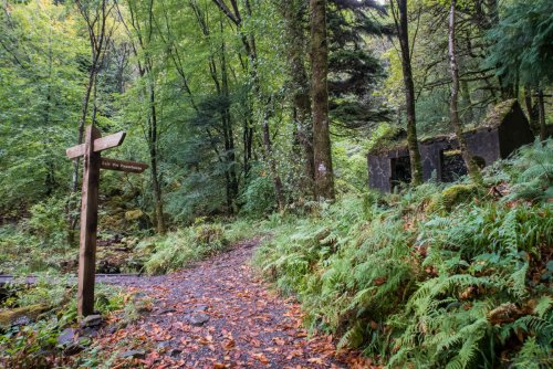 Woodland trails around Aros Park to explore